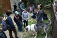 /album/budakeszi-vadaspark-a-fold-vilagnapja-alkalmabol-torteno-meghivasa-a-nagyragadozok-es-pasztorkutyak-forumnak-2014-aprilis-fotok-izabella-tandecki-/img-060-jpg/